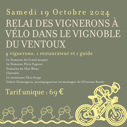 Relai des vignerons à vélo dans le vignoble du Ventoux